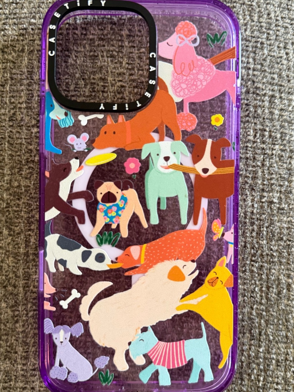 Casetify Iphone 16 Pro Max Case